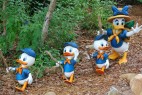 Disney's Animal Kingdom Park